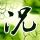 办理高仿奥特斯贝格自由学院学位证【degxx.com】